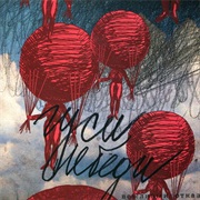 Вежливый Отказ - Гуси-Лебеди