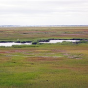 Jacques Cousteau National Estuarine Research Reserve