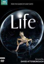 Life