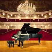 Buy My Brother a Concert Piano