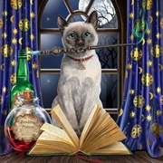 Hocus Pocus Spell Book &Cat