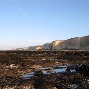 Telescombe Cliffs