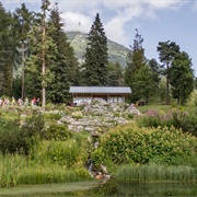 Giardino Botanico Alpino, Trento
