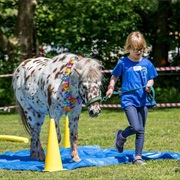 Trust-Walk With an Animal