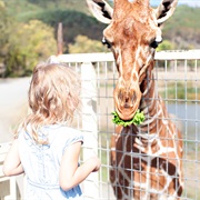 Wildlife Safari, Winston, Or