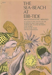 The Sea-Beach at Ebb-Tide (Augusta Arnold)