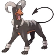 #229 Houndoom