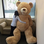 Stuffed Animals Bigger Than You Are