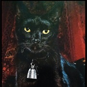 Morticia the Cat