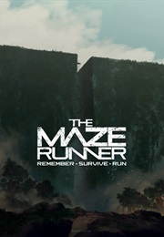 The Maze Runner (2013)