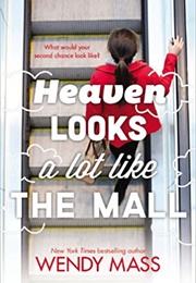 Heaven Looks a Lot Like the Mall (Wendy Mass)