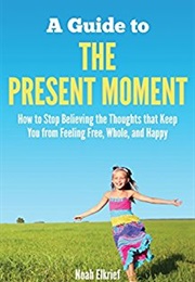 A Guide to the Present Moment (Noah Elkrief)