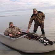 Gone Hunting From a Boat