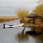 The Danube Delta