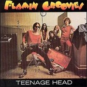 Flamin&#39; Groovies - Teenage Head