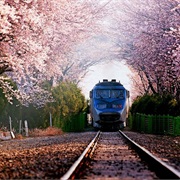 Gyeonghwa Train Station