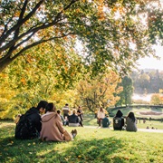 High Park - Toronto, ON