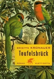 Teufelsbrück (Brigitte Kronauer)