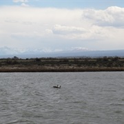 Sweitzer Lake State Park, Colorado