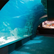 Aquarium De Paris