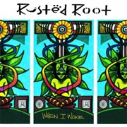 Send Me on My Way - Rusted Root
