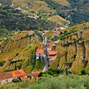 Douro Wine Region - World Heritage