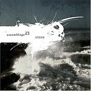 Assemblage 23 - Storm