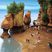 Visit the Bay of Fundy, NS/NB