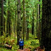 Olympic National Park