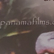 Panama Films Distribution