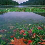 Gwaii Haanas National Park, BC