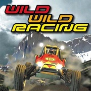 Wild Wild Racing