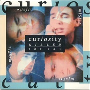 Misfit - Curiosity Killed the Cat
