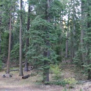 Tub Springs State Wayside, Oregon