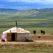 Sleep in a Ger, Mongolia