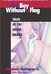 Boy Without a Flag (Abraham Rodriguez Jr.)
