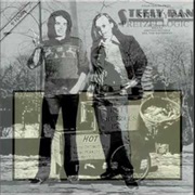 Steely Dan - Night by Night