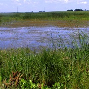 Iowa Wetland Management District