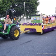 Be on a Parade Float