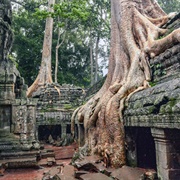 Temples of Angkor, Cambodia