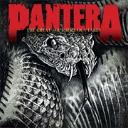 Pantera - Floods (Rex Brown)