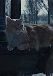 Buttercup, the Hunger Games (2012)