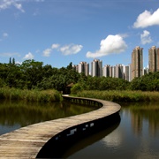 Hong Kong Wetland Park