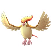 Pidgeot