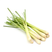 Lemongrass (Cymbopogon)