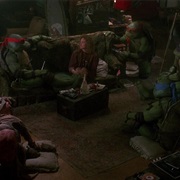 Teenage Mutant Ninja Turtles