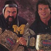 The Steiner Brothers