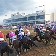Prairie Meadows Race Track