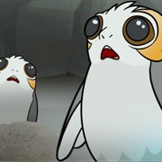 Forces of Destiny: Porg Problems