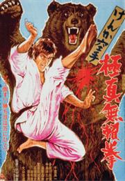 Karate Bearfighter